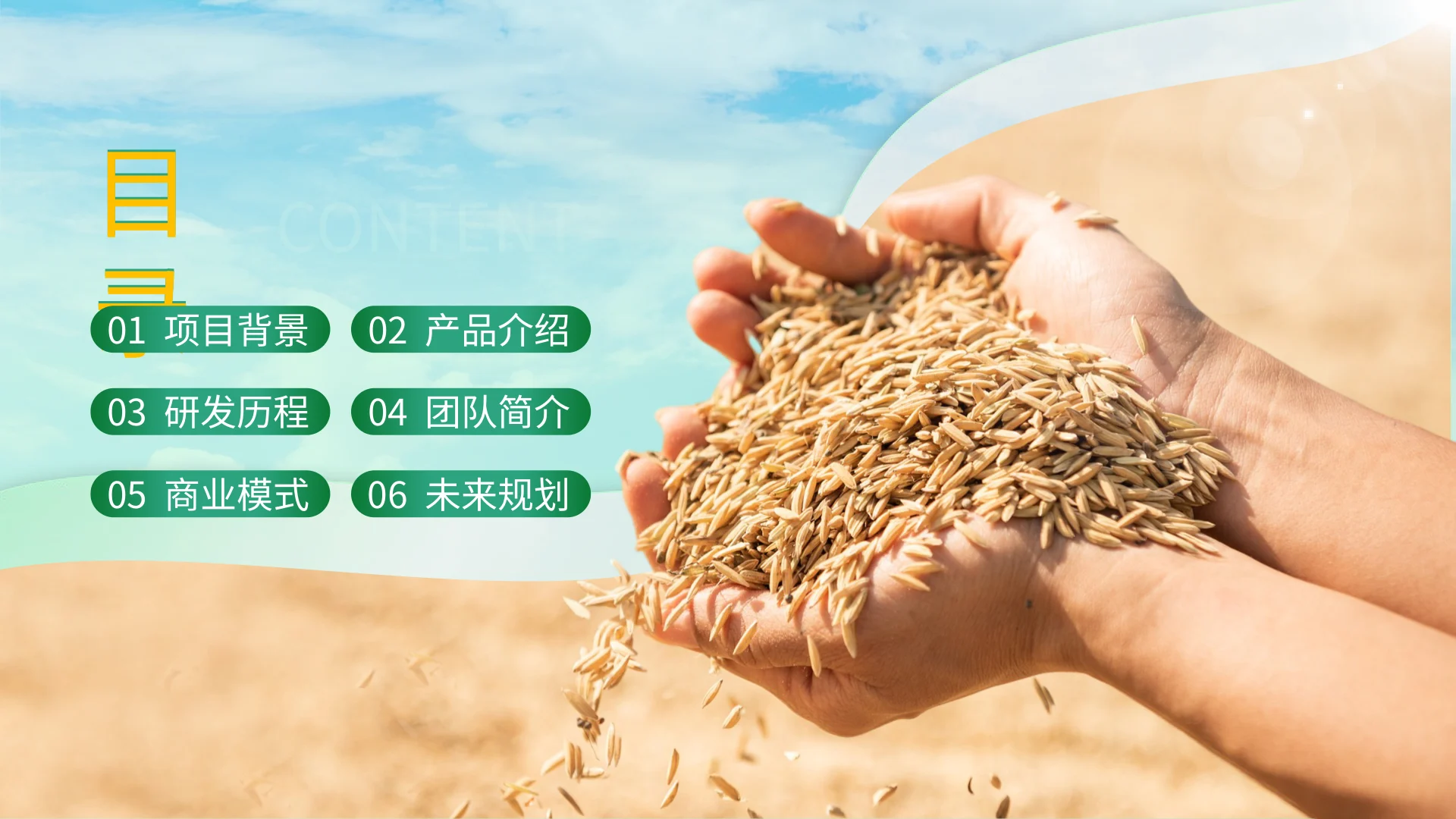青力助农 · 第2页
