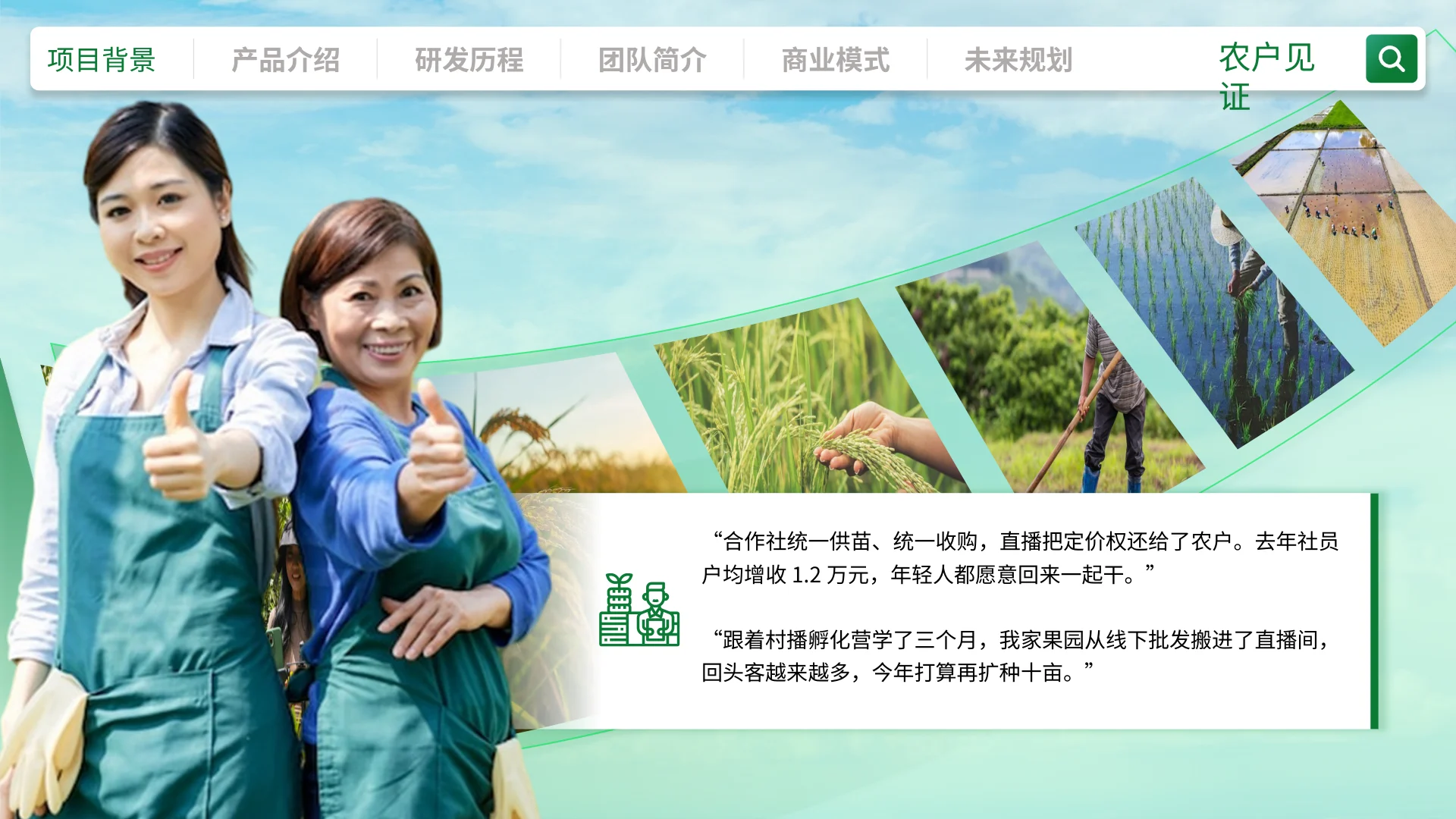 青力助农 · 第14页